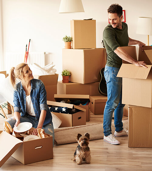 Home Removals Devon